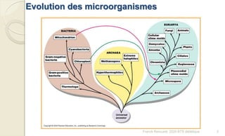 Evolution des microorganismes
3Franck Rencurel, 2020 BTS diététique
 