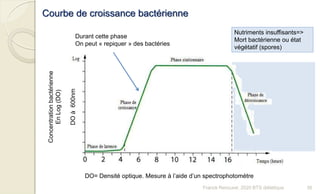 Courbe de croissance bactérienne
Nutriments insuffisants=>
Mort bactérienne ou état
végétatif (spores)
Durant cette phase
On peut « repiquer » des bactéries
Concentrationbactérienne
EnLog(DO)
DOà600nm
DO= Densité optique. Mesure à l’aide d’un spectrophotomètre
36Franck Rencurel, 2020 BTS diététique
 