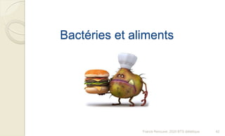 Bactéries et aliments
42Franck Rencurel, 2020 BTS diététique
 