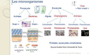 Source Aurélia Hiron Université de Tours
5Franck Rencurel, 2020 BTS diététique
 