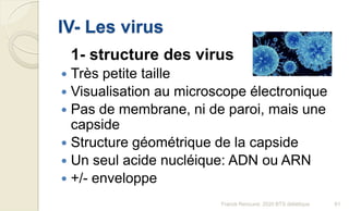 IV- Les virus
1- structure des virus
 Très petite taille
 Visualisation au microscope électronique
 Pas de membrane, ni de paroi, mais une
capside
 Structure géométrique de la capside
 Un seul acide nucléique: ADN ou ARN
 +/- enveloppe
61Franck Rencurel, 2020 BTS diététique
 