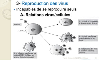 3- Reproduction des virus
 Incapables de se reproduire seuls
A- Relations virus/cellules
64Franck Rencurel, 2020 BTS diététique
 