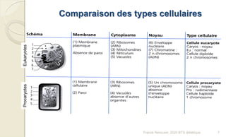 Comparaison des types cellulaires
EukaryotesProcaryotes
7Franck Rencurel, 2020 BTS diététique
 