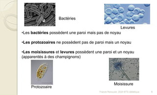 •Les bactéries possèdent une paroi mais pas de noyau
•Les protozoaires ne possèdent pas de paroi mais un noyau
•Les moisissures et levures possèdent une paroi et un noyau
(apparentés à des champignons)
Bactéries
Levures
Protozoaire
Moisissure
8Franck Rencurel, 2020 BTS diététique
 
