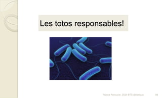 Les totos responsables!
Franck Rencurel, 2020 BTS diététique 88
 