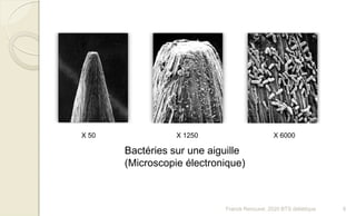 Bactéries sur une aiguille
(Microscopie électronique)
X 50 X 1250 X 6000
9Franck Rencurel, 2020 BTS diététique
 