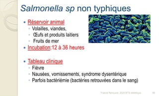 Salmonella sp non typhiques
 Réservoir animal
◦ Volailles, viandes,
◦ Œufs et produits laitiers
◦ Fruits de mer
 Incubation:12 à 36 heures
 Tableau clinique
◦ Fièvre
◦ Nausées, vomissements, syndrome dysentérique
◦ Parfois bactériémie (bactéries retrouvées dans le sang)
90Franck Rencurel, 2020 BTS diététique
 