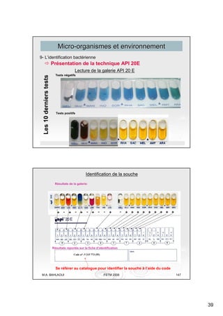Microbiologie de l_eau (1).pdf