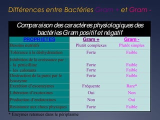 Différences entre Bactéries Gram + et Gram -
Comparaison descaractèresphysiologiquesdes
bactériesGram positifet négatif
PROPRIETES Gram + Gram -
Besoins nutritifs Plutôt complexes Plutôt simples
Tolérance à la déshydratation Forte Faible
Inhibition de la croissance par :
- la pénicilline
- les colorants
Forte
Forte
Faible
Faible
Destruction de la paroi par le
lysozyme
Forte Faible
Excrétion d’exoenzymes Fréquente Rare*
Libération d’exotoxines Oui Non
Production d’endotoxines Non Oui
Resistance aux chocs physiques Forte Faible
* Enzymes retenues dans le périplasme
 
