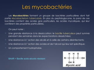 Les mycobactéries
Les Mycobactéries forment un groupe de bactéries particulières dont fait
partie Mycobacterium tuberculosis. En plus du peptidoglycane, la paroi de ces
bactéries contient des acides gras particuliers, les acides mycoliques, qui leur
confèrent des propriétés particulières.
On peut noter :
Ü Une grande résistance à la dessiccation: le bacille tuberculeux peut survivre
pendant des semaines dans les expectorations desséchées;
Ü Une résistance à l ’action des alcalis et à celle de certains désinfectants;
Ü Une résistance à l ’action des acides et de l’alcool qui leur est spécifique;
Ü Un comportement hydrophobe.
BAAR = Bacille acido-alcoolo résistant
 