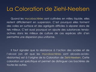 La Coloration de Ziehl-Neelsen
Quand les mycobactéries sont cultivées en milieu liquide, elles
restent difficilement en suspension. C’est pourquoi elles forment
des voiles en surface et des agrégats difficiles à séparer dans de
tels milieux. C’est aussi pourquoi on ajoute des substances tensio-
actives dans les milieux de culture de ces espèces afin d’en
permettre une dispersion plus uniforme.
Il faut signaler que la résistance à l’action des acides et de
l’alcool (on dit que les mycobactéries sont alcoolo-acido-
résistantes) est à l’origine de la Coloration de Ziehl-Neelsen. Cette
coloration est spécifique et permet de distinguer ces bactéries de
toutes les autres.
 