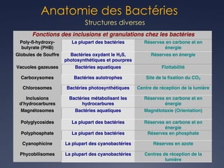 Anatomie des Bactéries
Structures diverses
Fonctions des inclusions et granulations chez les bactéries
Poly-ß-hydroxy-
butyrate (PHB)
La plupart des bactéries Réserves en carbone et en
énergie
Globules de Souffre Bactéries oxydant le H2S,
photosynthétiques et pourpres
Réserves en énergie
Vacuoles gazeuses Bactéries aquatiques Flottabilité
Carboxysomes Bactéries autotrophes Site de la fixation du CO2
Chlorosomes Bactéries photosynthétiques Centre de réception de la lumière
Inclusions
d'hydrocarbures
Bactéries métabolisant les
hydrocarbures
Réserves en carbone et en
énergie
Magnétosomes Bactéries aquatiques Magnétotaxie (Orientation)
Polyglycosides La plupart des bactéries Réserves en carbone et en
énergie
Polyphosphate La plupart des bactéries Réserves en phosphate
Cyanophicine La plupart des cyanobactéries Réserves en azote
Phycobilisomes La plupart des cyanobactéries Centres de réception de la
lumière
 