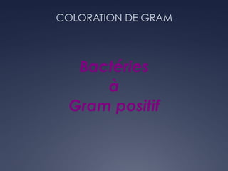 COLORATION DE GRAM
Bactéries
à
Gram positif
 