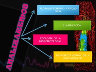 FLORA MICROBIANA – CAVIDAD
ORAL
CLASIFICACIÓN
ECOLOGÍA DE LA
MICROBIOTA ORAL
MICROBIOTA NORMAL DE LA
CAVIDAD BUCAL
 
