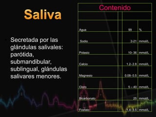 • Secretada por las
glándulas salivales:
parótida,
submandibular,
sublingual, glándulas
salivares menores.
Contenido
Agua 99 %
Sodio 2-21 mmol/L
Potasio 10- 36 mmol/L
Calcio 1.2- 2.8 mmol/L
Magnesio 0.08- 0.5 mmol/L
Cloro 5 – 40 mmol/L
Bicarbonato 25 mmol/L
Fosfato 1.4- 3.5 mmol/L
 