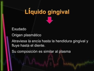 • Exudado
• Origen plasmático
• Atraviesa la encía hasta la hendidura gingival y
fluye hasta el diente.
• Su composición es similar al plasma
 