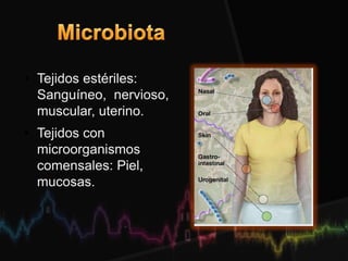 • Tejidos estériles:
Sanguíneo, nervioso,
muscular, uterino.
• Tejidos con
microorganismos
comensales: Piel,
mucosas.
 