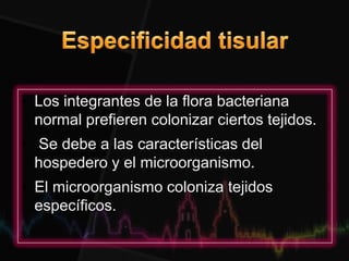 • Los integrantes de la flora bacteriana
normal prefieren colonizar ciertos tejidos.
• Se debe a las características del
hospedero y el microorganismo.
• El microorganismo coloniza tejidos
específicos.
 