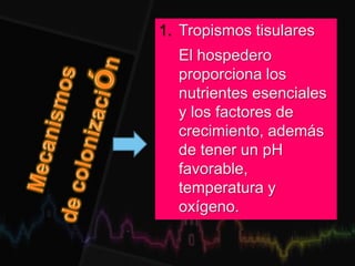 1. Tropismos tisulares
El hospedero
proporciona los
nutrientes esenciales
y los factores de
crecimiento, además
de tener un pH
favorable,
temperatura y
oxígeno.
 