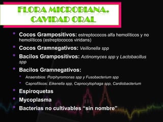 • Cocos Grampositivos: estreptococos alfa hemolíticos y no
hemolíticos (estreptococos viridans)
• Cocos Gramnegativos: Veillonella spp
• Bacilos Grampositivos: Actinomyces spp y Lactobacillus
spp
• Bacilos Gramnegativos:
• Anaerobios: Porphyromonas spp y Fusobacterium spp
• Capnofílicos: Eikenella spp, Capnocytophaga spp, Cardiobacterium
• Espiroquetas
• Mycoplasma
• Bacterias no cultivables “sin nombre”
 