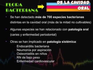 de la cavidad
oral
• Se han detectado más de 700 especies bacterianas
distintas en la cavidad oral (más de la mitad no cultivables)
• Algunas especies se han relacionado con patología oral
(caries y enfermedad periodontal)
• Otras se han implicado en patología sistémica:
– Endocarditis bacteriana
– Neumonía por aspiración
– Osteomielitis en niños
– RN de bajo peso
– Enfermedad cardiovascular
 