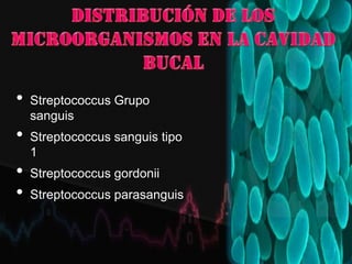 • Streptococcus Grupo
sanguis
• Streptococcus sanguis tipo
1
• Streptococcus gordonii
• Streptococcus parasanguis
 