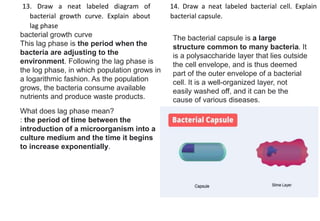 13. Draw a neat labeled diagram of
bacterial growth curve. Explain about
lag phase
14. Draw a neat labeled bacterial cell. Explain
bacterial capsule.
bacterial growth curve
This lag phase is the period when the
bacteria are adjusting to the
environment. Following the lag phase is
the log phase, in which population grows in
a logarithmic fashion. As the population
grows, the bacteria consume available
nutrients and produce waste products.
What does lag phase mean?
: the period of time between the
introduction of a microorganism into a
culture medium and the time it begins
to increase exponentially.
The bacterial capsule is a large
structure common to many bacteria. It
is a polysaccharide layer that lies outside
the cell envelope, and is thus deemed
part of the outer envelope of a bacterial
cell. It is a well-organized layer, not
easily washed off, and it can be the
cause of various diseases.
 