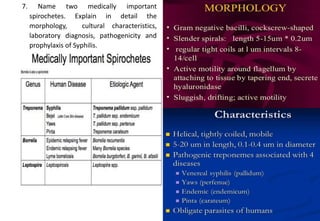 7. Name two medically important
spirochetes. Explain in detail the
morphology, cultural characteristics,
laboratory diagnosis, pathogenicity and
prophylaxis of Syphilis.
 