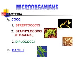 MICROORGANISMS 1.   BACTERIA A.  COCCI 1.  STREPTOCOCCI 2.  STAPHYLOCOCCI (PYOGENIC) 3.  DIPLOCOCCI B.  BACILLI 