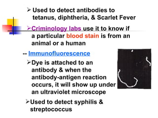 Used to detect antibodies to tetanus, diphtheria, & Scarlet   Fever Criminology labs  use it to know if a particular  blood stain  is from an animal or a human --  Immunofluorescence Dye is attached to an antibody & when the antibody-antigen reaction occurs, it will show up under an ultraviolet   microscope Used to detect syphilis & streptococcus 