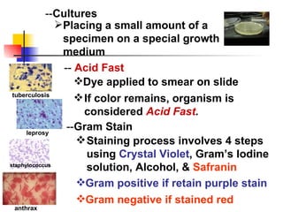 -- Cultures Placing a small amount of a specimen on a special growth medium --  Acid Fast Dye applied to smear on slide If color remains, organism is considered  Acid Fast . leprosy tuberculosis -- Gram Stain Staining process involves 4 steps using  Crystal Violet , Gram’s Iodine solution, Alcohol, &  Safranin Gram negative if stained red anthrax Gram positive if retain purple stain staphylococcus 