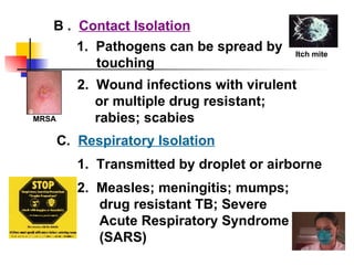 B .   Contact Isolation 1.  Pathogens can be spread by touching C.  Respiratory Isolation 2.  Wound infections with virulent or multiple drug resistant; rabies; scabies Itch mite MRSA 1.  Transmitted by droplet or airborne 2.  Measles; meningitis; mumps; drug resistant TB; Severe Acute Respiratory Syndrome (SARS) 