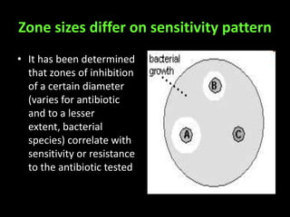 Zone sizes differ on sensitivity pattern
• It has been determined
  that zones of inhibition
  of a certain diameter
  (varies for antibiotic
  and to a lesser
  extent, bacterial
  species) correlate with
  sensitivity or resistance
  to the antibiotic tested
 