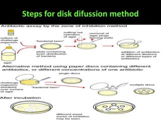 Steps for disk difussion method
 