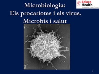 Microbiologia:
Els procariotes i els virus.
     Microbis i salut




                               1
 