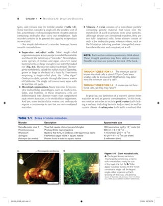 Microbiology an evolving science 3rd edition | PDF