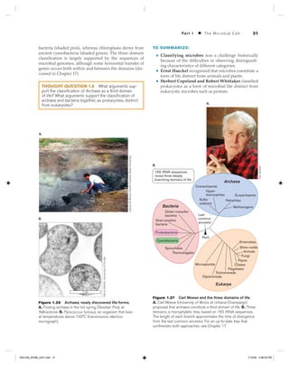 Microbiology an evolving science 3rd edition | PDF