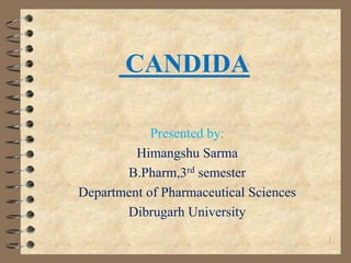 CANDIDA
Presented by:
Himangshu Sarma
B.Pharm,3rd semester
Department of Pharmaceutical Sciences
Dibrugarh University
1
 