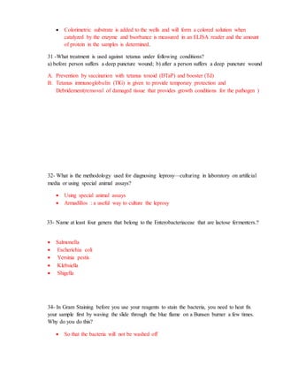  Colorimetric substrate is added to the wells and will form a colored solution when
catalyzed by the enzyme and bsorbance is measured in an ELISA reader and the amount
of protein in the samples is determined.
31 -What treatment is used against tetanus under following conditions?
a) before person suffers a deep puncture wound; b) after a person suffers a deep puncture wound
A. Prevention by vaccination with tetanus toxoid (DTaP) and booster (Td)
B. Tetanus immunoglobulin (TlG) is given to provide temporary protection and
Debridement(removal of damaged tissue that provides growth conditions for the pathogen )
32- What is the methodology used for diagnosing leprosy—culturing in laboratory on artificial
media or using special animal assays?
 Using special animal assays
 Armadillos : a useful way to culture the leprosy
33- Name at least four genera that belong to the Enterobacteriaceae that are lactose fermenters.?
 Salmonella
 Escherichia coli
 Yersinia pestis
 Klebsiella
 Shigella
34- In Gram Staining before you use your reagents to stain the bacteria, you need to heat fix
your sample first by waving the slide through the blue flame on a Bunsen burner a few times.
Why do you do this?
 So that the bacteria will not be washed off
 
