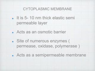 It is 5- 10 nm thick elastic semi
permeable layer
Acts as an osmotic barrier
Site of numerous enzymes (
permease, oxidase, polymerase )
Acts as a semipermeable membrane
CYTOPLASMIC MEMBRANE
 