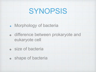 SYNOPSIS
Morphology of bacteria
difference between prokaryote and
eukaryote cell
size of bacteria
shape of bacteria
 