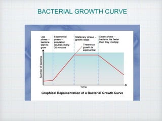 BACTERIAL GROWTH CURVE
 