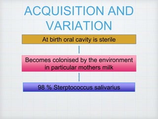 ACQUISITION AND
VARIATION
At birth oral cavity is sterile
Becomes colonised by the environment
in particular mothers milk
98 % Sterptococcus salivarius
 