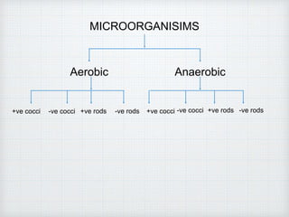 MICROORGANISIMS
Aerobic Anaerobic
-ve rods+ve rods-ve cocci+ve cocci +ve cocci -ve cocci +ve rods -ve rods
 