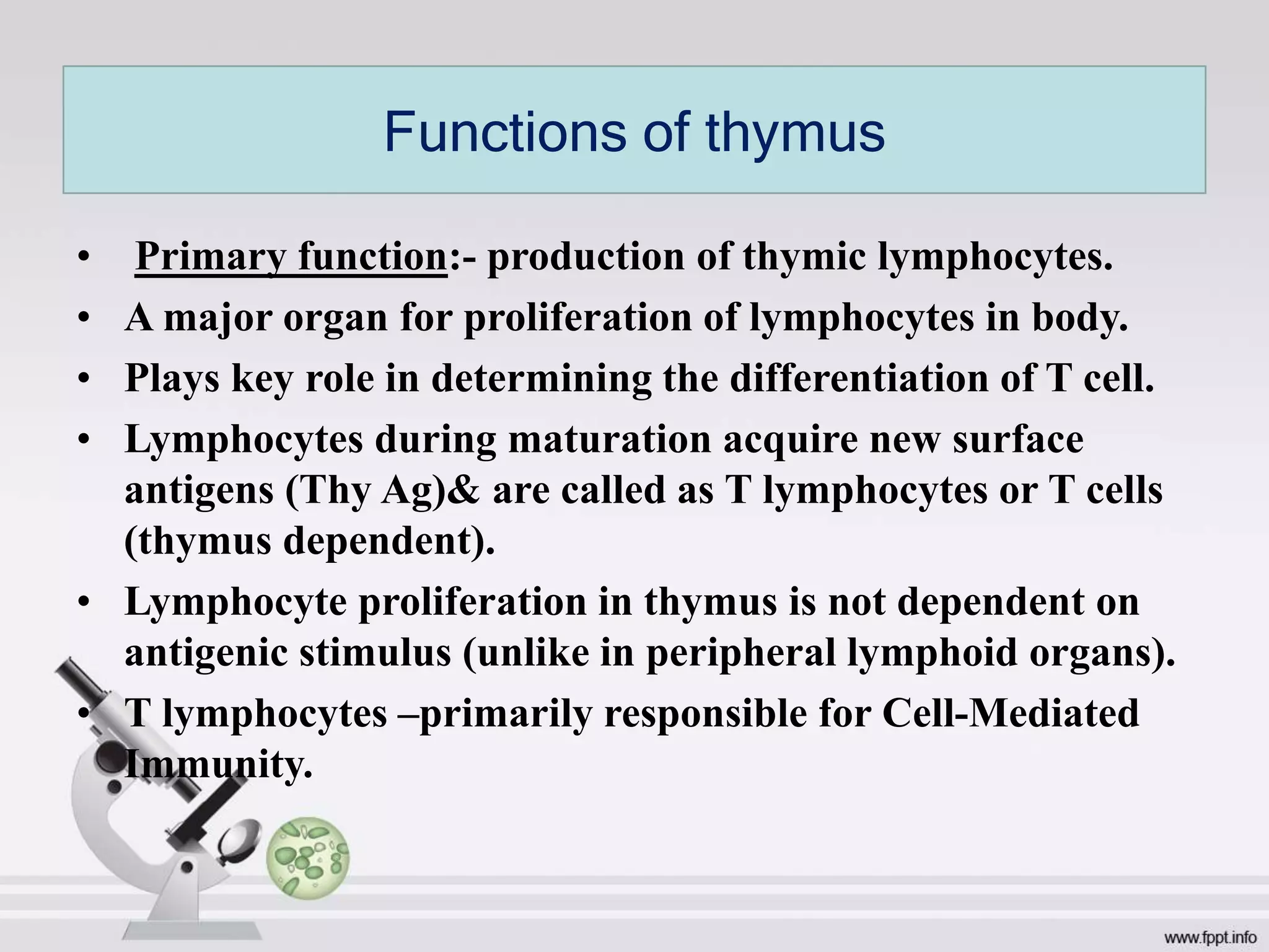 • Primary function:- production of thymic lymphocytes.
• A major organ for proliferation of lymphocytes in body.
• Plays key role in determining the differentiation of T cell.
• Lymphocytes during maturation acquire new surface
antigens (Thy Ag)& are called as T lymphocytes or T cells
(thymus dependent).
• Lymphocyte proliferation in thymus is not dependent on
antigenic stimulus (unlike in peripheral lymphoid organs).
• T lymphocytes –primarily responsible for Cell-Mediated
Immunity.
Functions of thymus
 