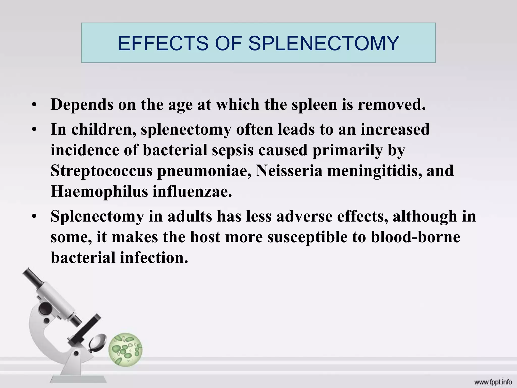 • Depends on the age at which the spleen is removed.
• In children, splenectomy often leads to an increased
incidence of bacterial sepsis caused primarily by
Streptococcus pneumoniae, Neisseria meningitidis, and
Haemophilus influenzae.
• Splenectomy in adults has less adverse effects, although in
some, it makes the host more susceptible to blood-borne
bacterial infection.
EFFECTS OF SPLENECTOMY
 