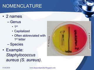 NOMENCLATURE
• 2 names
– Genus
• 1st
• Capitalized
• Often abbreviated with
1st letter
– Species
• Example:
Staphylococcus
aureus (S. aureus).
5/18/2018 10www.drjayeshpatidar.blogspot.com
 