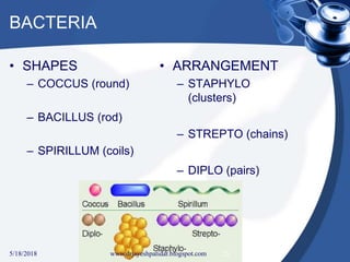 BACTERIA
• SHAPES
– COCCUS (round)
– BACILLUS (rod)
– SPIRILLUM (coils)
• ARRANGEMENT
– STAPHYLO
(clusters)
– STREPTO (chains)
– DIPLO (pairs)
5/18/2018 25www.drjayeshpatidar.blogspot.com
 