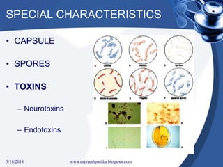 SPECIAL CHARACTERISTICS
• CAPSULE
• SPORES
• TOXINS
– Neurotoxins
– Endotoxins
5/18/2018 28www.drjayeshpatidar.blogspot.com
 
