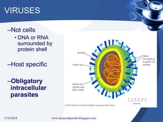 VIRUSES
–Not cells
• DNA or RNA
surrounded by
protein shell
–Host specific
–Obligatory
intracellular
parasites
5/18/2018 30www.drjayeshpatidar.blogspot.com
 